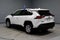 2019 Toyota RAV4 LE AWD (Natl)