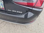 2024 Lexus ES 250 250